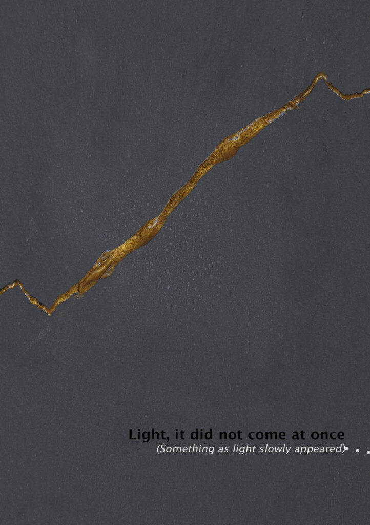 light, it did not come at once jpeg boekje vorm